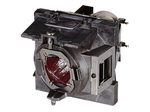 ViewSonic RLC-108 Projektorlampe für ViewSonic PA500S, PA500X, PA503S, PA503X, PG603X, PS600X, PS500X, PS501X