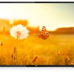 Philips EasySuite 43HFL3014 Professional TV 108 cm (43 Zoll)