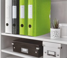 LEITZ Active WOW 1106 Ordner Rauten Kunststoff 8,2 cm DIN A4 - grün