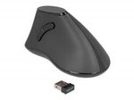Delock Ergonomic Vertikale Maus