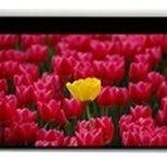 Optoma DE-9120EGA motorisierte Leinwand für Wand-/Deckenmontage, 16:9, (120") 305 cm