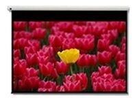 Optoma DE-9120EGA motorisierte Leinwand für Wand-/Deckenmontage, 16:9, (120") 305 cm