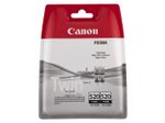 Canon Original PGI-520 PGBK Druckerpatronen 2er-Pack - schwarz 341 Seiten