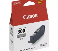 Canon Original PFI-300GY Druckerpatrone - grau (4200C001)
