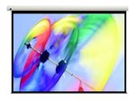 Optoma DS-3100PMG+ Manuelle Pull Down Leinwand Wand-/Deckenmontage, Weiß, 4:3, (100") 254 cm