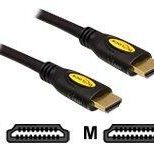 DeLock - HDMI-Kabel - HDMI (M) bis HDMI (M) - 1 m