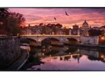 Samsung QB50R Smart Signage Display 125 cm 50 Zoll