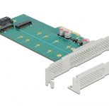 DeLOCK PCI Express x4 Karte zu M.2 Key B / NVMe M.2 Key M