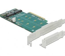 DeLOCK PCI Express x8 Card zu 2x intern NVMe M.2