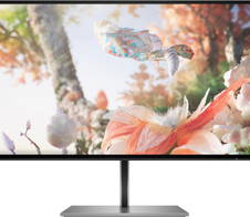 HP Z25xs G3 DreamColor Monitor 63,5cm (25 Zoll)