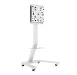 Hagor ST SA Flip II 55" Standsystem mobil