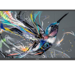 Philips 32BDL3510Q Signage Display 80 cm 32 Zoll