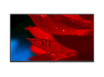 NEC MultiSync MA431 Digital Signage Display 108 cm 43 Zoll