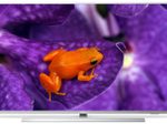Philips 50HFL6114U MediaSuite Hotel-TV 126 cm (50 Zoll)