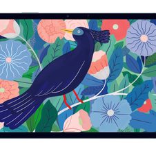 blau