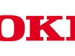 OKI Druckserver für OKI C650DN, C650(Wireless)(45830222)
