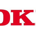 OKI Druckserver für OKI C650DN, C650(Wireless)(45830222)