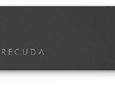 Seagate FireCuda 530 Heatsink - 4TB