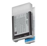 Epson Original T6031 Druckerpatrone photo schwarz 220ml (C13T603100)