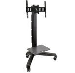 Ergotron Neo-Flex Mobile MediaCenter LD (24-190-085)