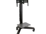 Ergotron Neo-Flex Mobile MediaCenter VHD (24-191-085)
