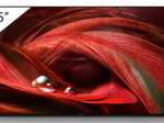 Sony FWD-75X95J (75") 189cm Digital Signage