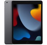 Apple iPad (10,2") Wi-Fi 256GB space grau