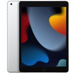 Apple iPad (10,2") Wi-Fi 256GB silber