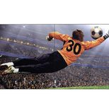 LG 49VL5G-M Digital Signage Videowall Display 123 cm 49 Zoll