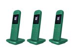 TELEKOM Speedphone 12 Trio petrol