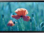 Samsung QB24R-B Smart Signage Display 60,5 cm 24 Zoll