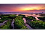 Samsung QB50B Smart Signage Display 126cm 50 Zoll