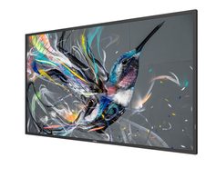 Philips 50BDL3511Q Signage Display 125,7 cm (50 Zoll)