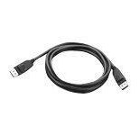 Lenovo DisplayPort zu DisplayPort Kabel