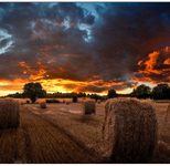 Samsung VM55B-U Smart Signage Videowall Display 136,7 cm 54,6 Zoll