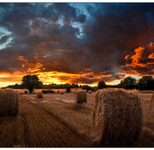 Samsung VM46B-U Smart Signage Videowall Display 116,59 cm 45,9 Zoll