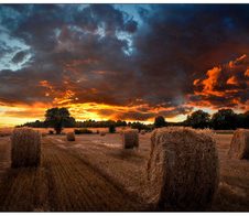 Samsung VM46B-U Smart Signage Videowall Display 116,59 cm 45,9 Zoll