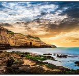 Samsung QE85T Smart Signage Display 215,9 cm 85 Zoll