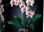 LEGO® Icons 10311 Orchidee