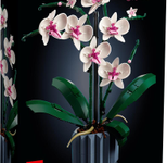 LEGO® Icons 10311 Orchidee