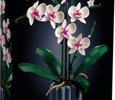 LEGO® Icons 10311 Orchidee