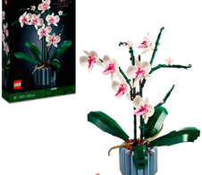 LEGO® Icons 10311 Orchidee