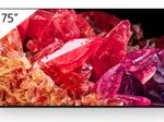 Sony Bravia FWD-75X95K Professional Display 189cm (75")