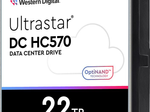 Western Digital Ultrastar DC HC570 - 22TB