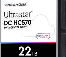 Western Digital Ultrastar DC HC570 - 22TB