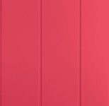 Apple Smart Folio für iPad 10. Generation (10,9") Tablethülle, wassermelone