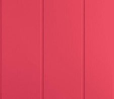 Apple Smart Folio für iPad 10. Generation (10,9") Tablethülle, wassermelone