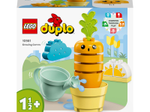 LEGO® DUPLO 10981 Wachsende Karotte