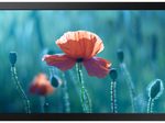 Samsung QB13R-M Smart Signage Display 33,7 cm 13,27 Zoll