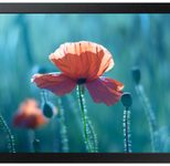 Samsung QB13R-M Smart Signage Display 33,7 cm 13,27 Zoll
